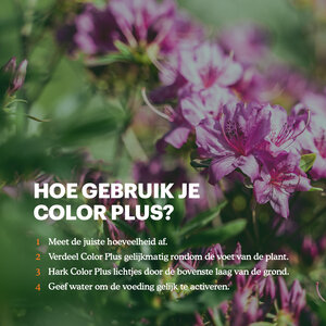 Joyfields Color Plus – Rhodo, Hortensia en Azalea meststof - 3 kg Joyfields Color Plus – Rhodo, Hortensia en Azalea meststof - 3 kg