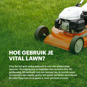 Joyfields Vital Lawn - Gazonmest met kalk - 3 kg