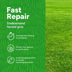 MRS Seeds & Mixtures Fast Repair - Herstel | Snelkiemend Gras