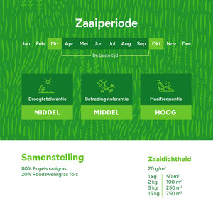 MRS Seeds & Mixtures Fast Repair - Herstel | Snelkiemend Gras