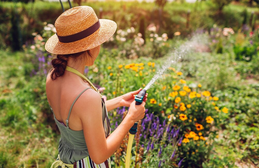 Tuinkalender juli: Tips voor een gezonde zomertuin!
