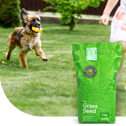 MRS Fertilizers All-in-One - Gazonmest met kalk | 20KG-500m2