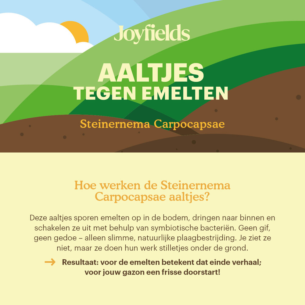 Aaltjes tegen emelten (Steinernema carpocapsae) Aaltjes tegen emelten (Steinernema carpocapsae)