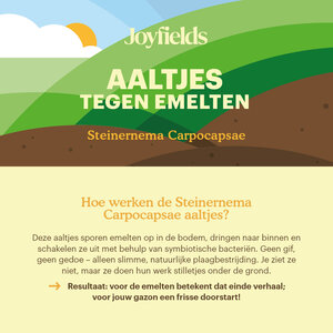 Joyfields Aaltjes tegen emelten (Steinernema carpocapsae) Joyfields Aaltjes tegen emelten (Steinernema carpocapsae)