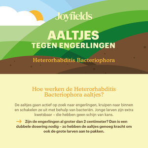 Joyfields Aaltjes tegen engerlingen (Heterorhabditis bacteriophora)