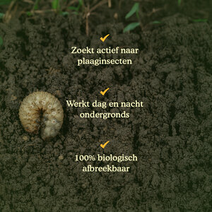 Joyfields Aaltjes tegen engerlingen (Heterorhabditis bacteriophora)