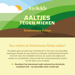 Joyfields Aaltjes tegen mieren (Steinernema feltiae)