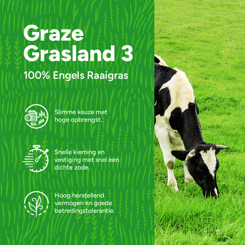 Graze - Graszaad | Grasland 3 Graze - Graszaad | Grasland 3