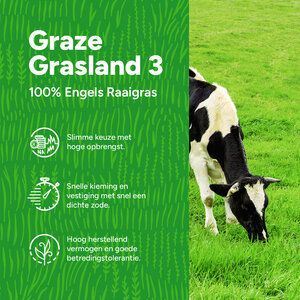 MRS Seeds & Mixtures Graze - Graszaad | Grasland 3 MRS Seeds & Mixtures Graze - Graszaad | Grasland 3