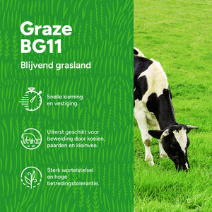 MRS Seeds & Mixtures Graze -  BG11 | Blijvend Grasland