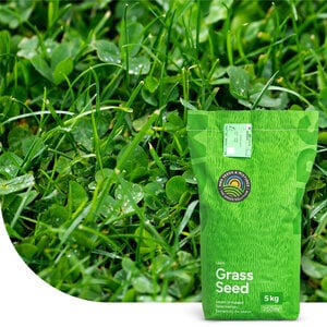 MRS Seeds & Mixtures Clover Lawn - Graszaad met microklaver