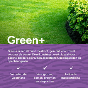MRS Seeds & Mixtures Green+ Extra Groen & Anti Mos | 20KG-500m2