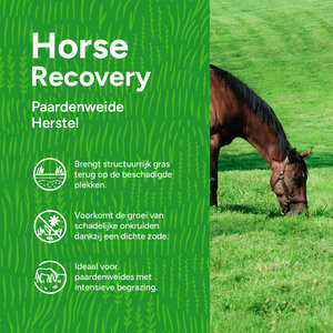 MRS Seeds & Mixtures Horse - Recovery mix | Herstel Paardenweide