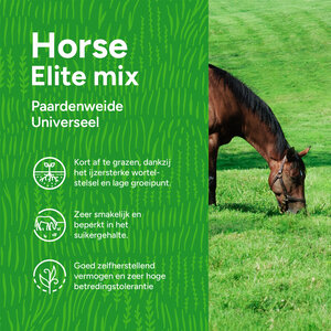 MRS Seeds & Mixtures Horse - Elite mix | Paardenweide Universeel