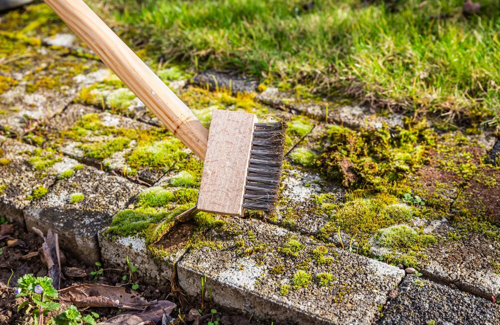 Onkruid en mos voorkomen en bestrijden