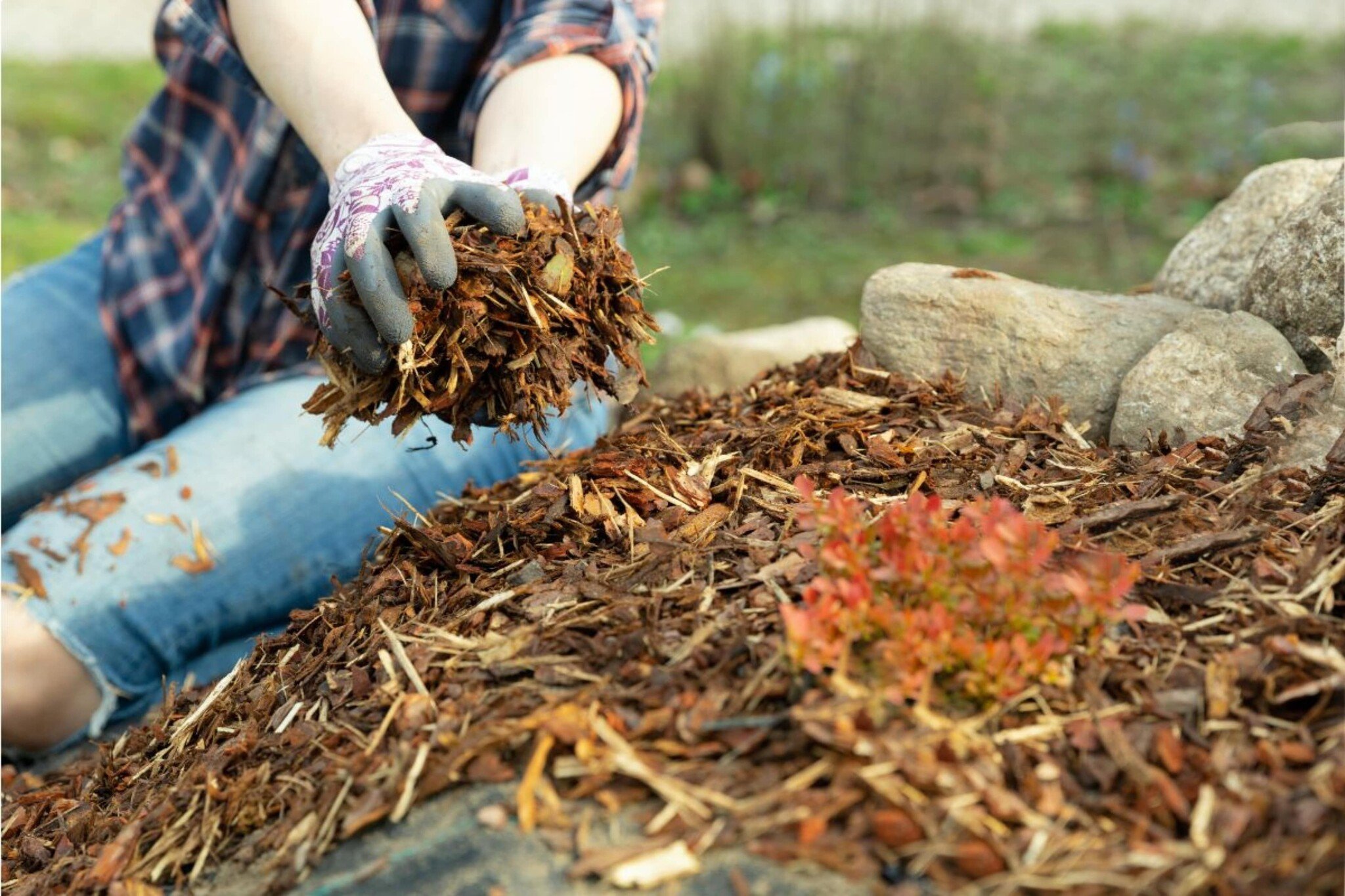 Mulch selbst herstellen