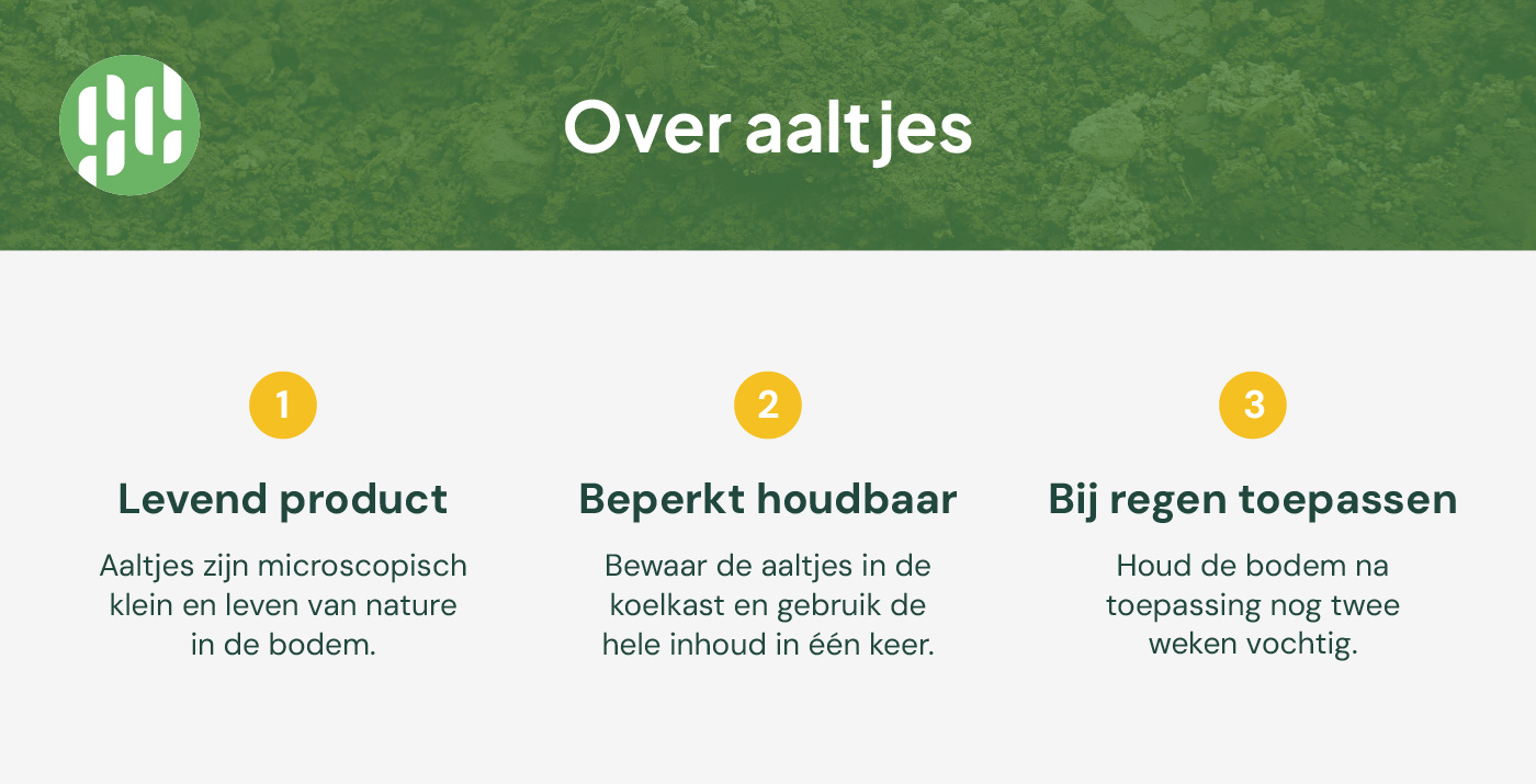 over aaltjes