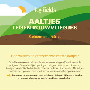 Joyfields Aaltjes tegen rouwvliegjes (Steinernema feltiae)