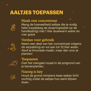 Joyfields Aaltjes tegen rouwvliegjes (Steinernema feltiae)