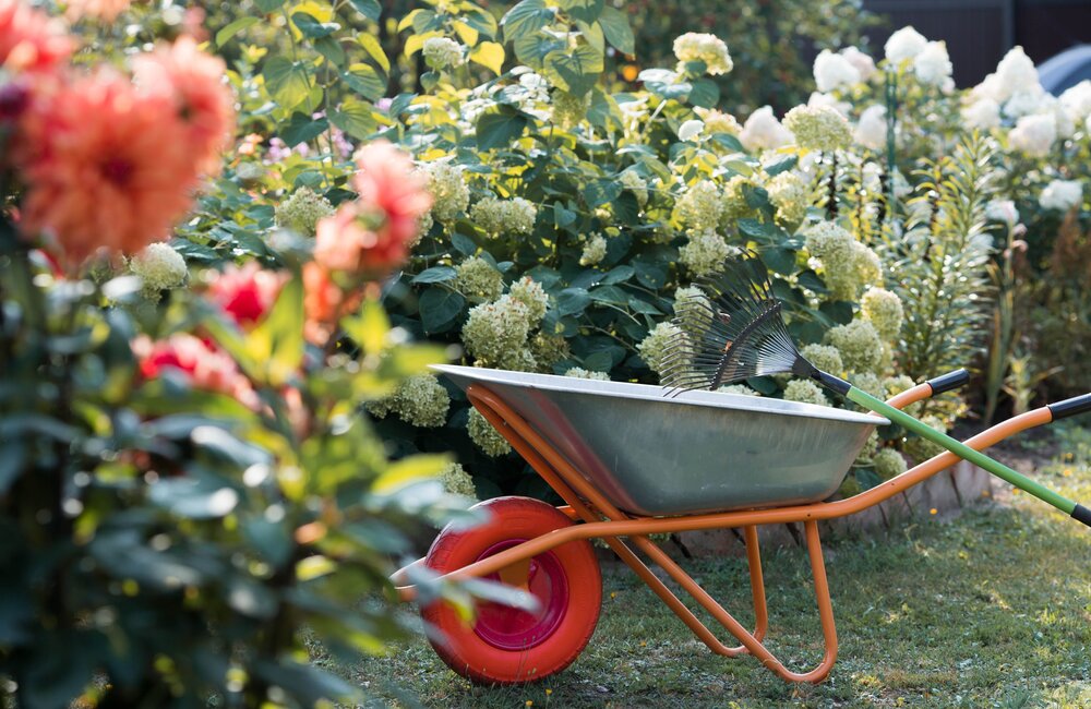 Tuinkalender september: Startklaar voor het najaar!