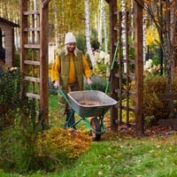 Tuinkalender oktober: Klaar voor de winter 