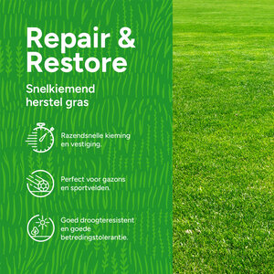 MRS Seeds & Mixtures Repair & Restore - Gazonherstel | Snelkiemend graszaad