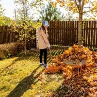 Tuinkalender november: Voorbereiding voor de winter