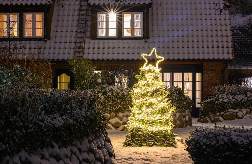 Tuinkalender december: Wat te doen in de tuin in de winter? Tuinkalender december: Wat te doen in de tuin in de winter?