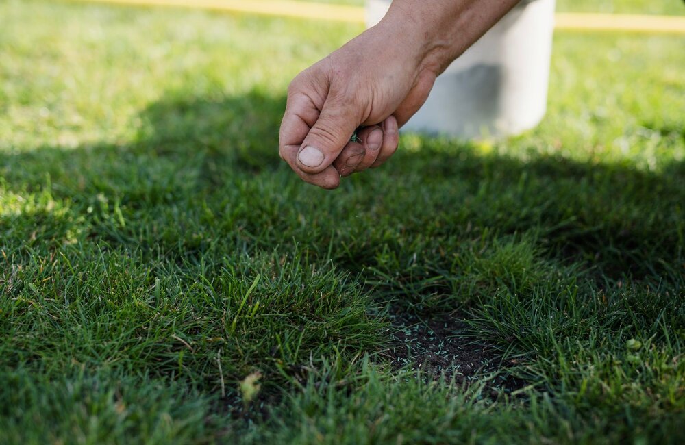 Mag ik graszaden en meststoffen tegelijk strooien? Mag ik graszaden en meststoffen tegelijk strooien?