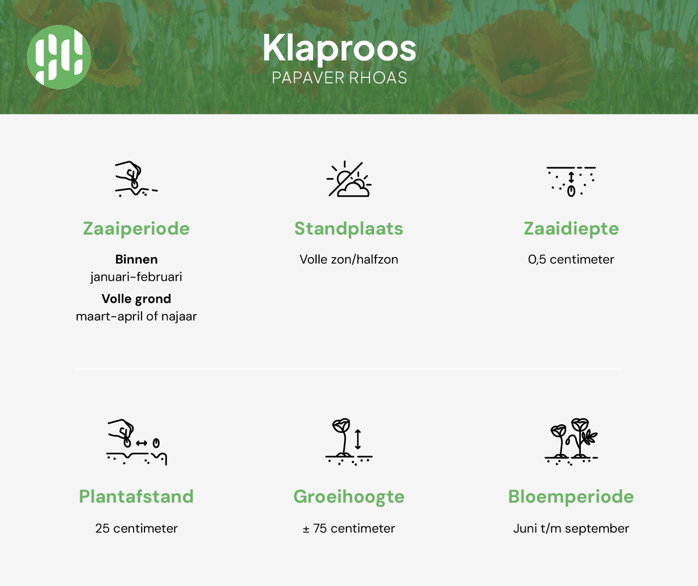 Klaproos zaaien