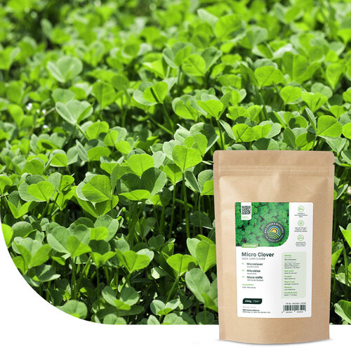 MRS Seeds & Mixtures Green Perfection - Graszaad | Luxe Siergazon