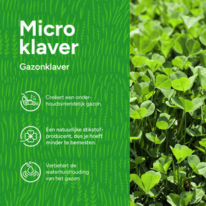 MRS Seeds & Mixtures Microklaver - Gazonklaver