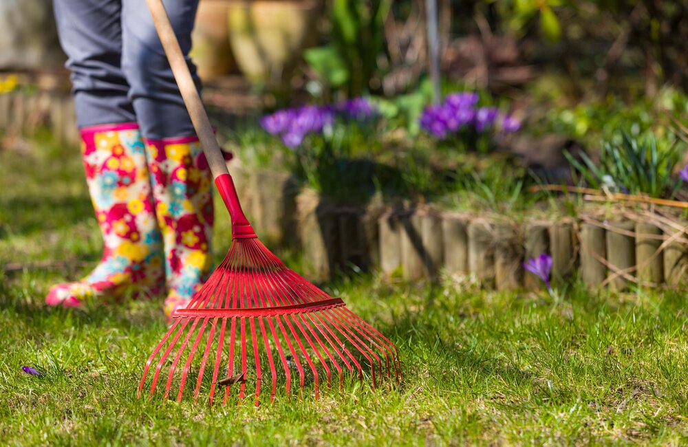 Tuinonderhoud in het voorjaar