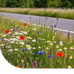 Ten Have Green Star Bermbloemenmengsel