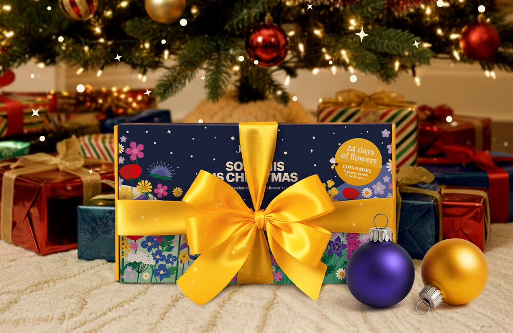 Joyfields Adventskalender: groen decembercadeau