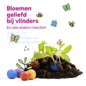 MRS Seeds & Mixtures Flower Bombs - Zaadbommen mix  - Katoenen cadeauzakje