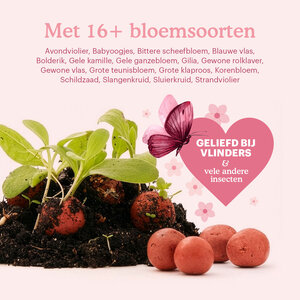 Joyfields Let Love Grow - Bloembommetjes - 12 stuks