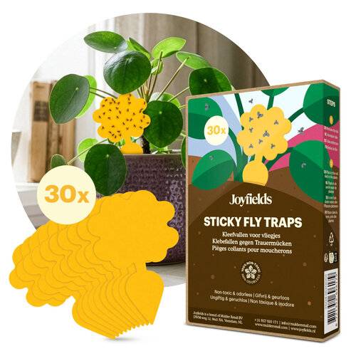 Joyfields Aaltjes tegen rouwvliegjes (Steinernema feltiae)