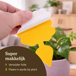 Joyfields Vangplaten - Kleefvallen voor rouwvliegjes