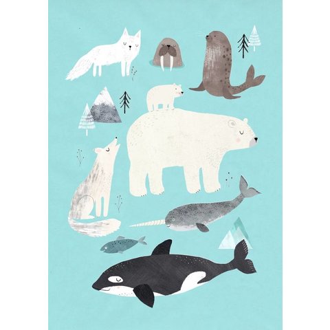 Petit Monkey kinderposter dieren Arctic Animals 50x70