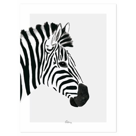 Lilipinso poster zebra