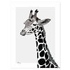 Lilipinso kinderposter Serengeti giraffe