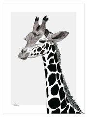 Kinderkamer Accessoires & Decoratie