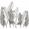 Lilipinso muursticker kinderkamer luipaard