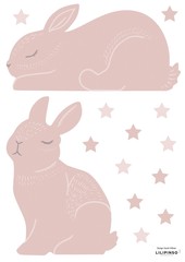 Producten getagd met konijn