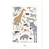 Lilipinso kinderposter dieren Tanzania