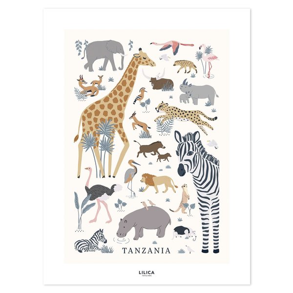 Lilipinso Lilipinso kinderposter dieren Tanzania