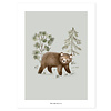 Lilipinso kinderposter beer Petit Ours