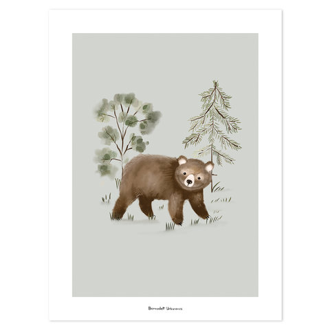 Lilipinso poster kinderkamer beer Petit Ours