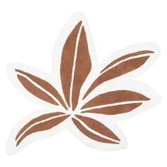 Kinderbeddengoed, Kindervloerkleden en Kussens